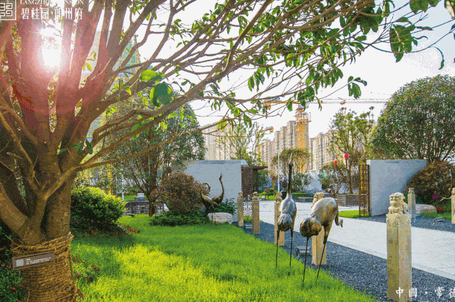 碧桂园·朗州府给你