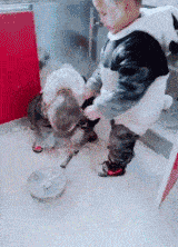 搞笑gif开心一刻:见好就收吧,老板还有三秒达到