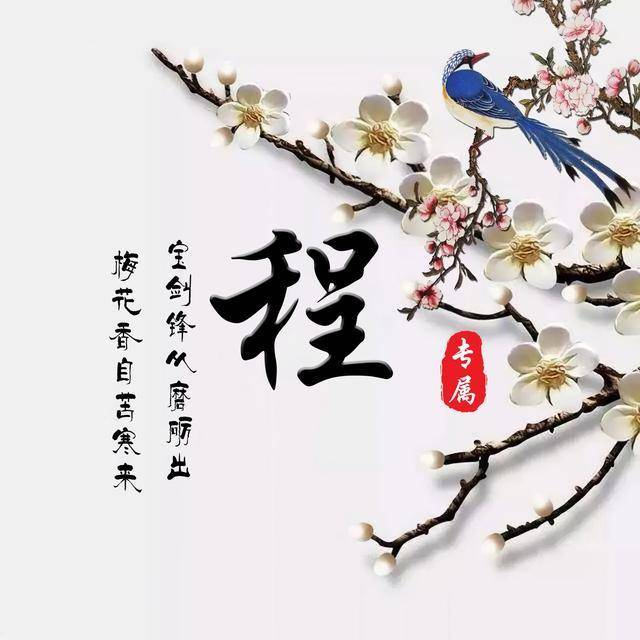 你的微信头像该换了,39张梅花古风百家姓氏头像,有你的吗?