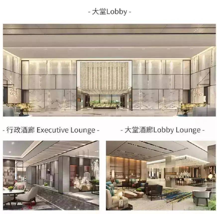 美丽华大酒店原址规划出炉！这里将建设一座限高100米的五星级酒店_番禺区