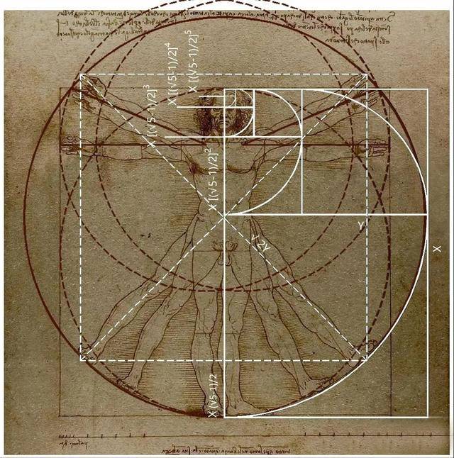 一段编码是黄金分割等比数列,是达芬奇眼中完美人体的数学编码;另一段