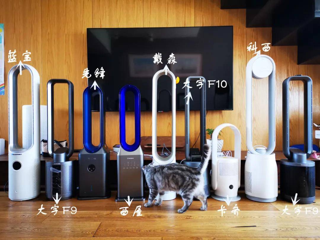 ����|�Ұ�����������8����Ҷ���ȶ���ؼ�,���ֲ����ĺô�!