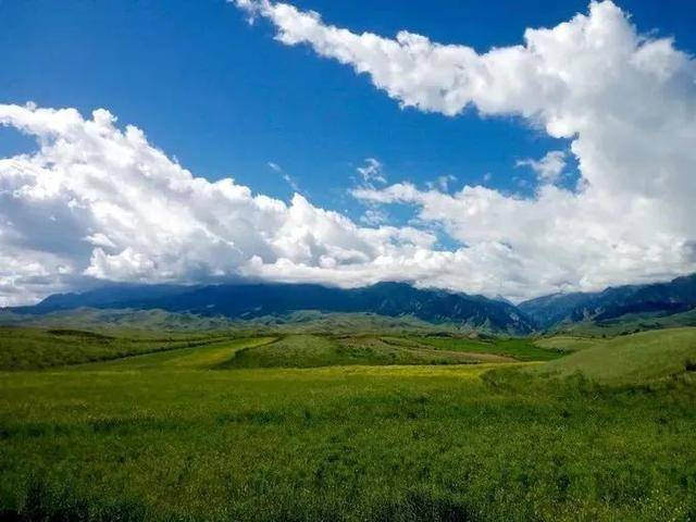 天山北麓大草场 鹿角湾夏牧场