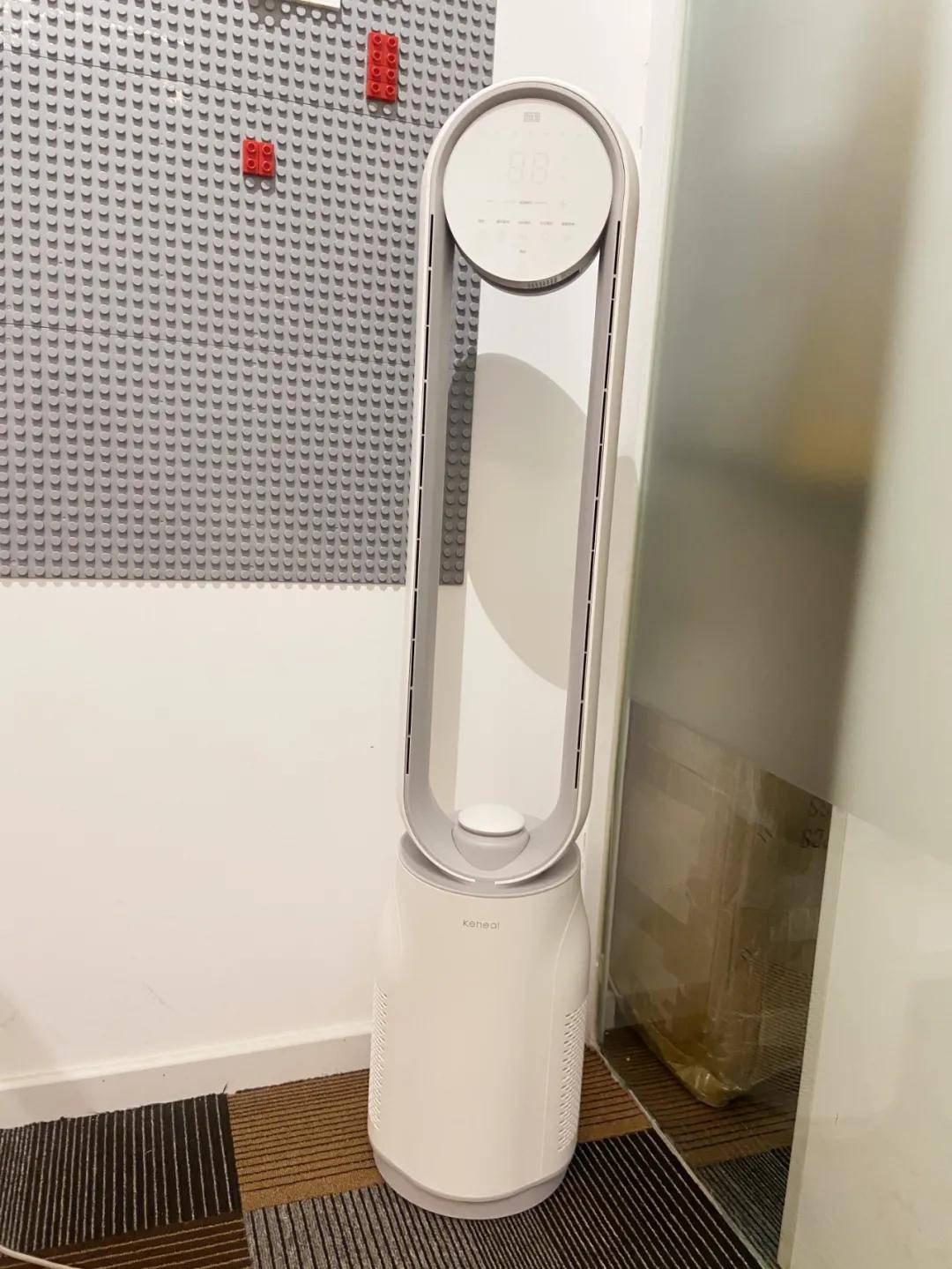 ����|�Ұ�����������8����Ҷ���ȶ���ؼ�,���ֲ����ĺô�!