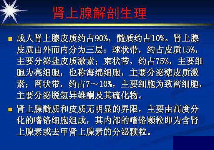 精彩解剖 肾脏,输尿管,膀胱,肾上腺,前列腺