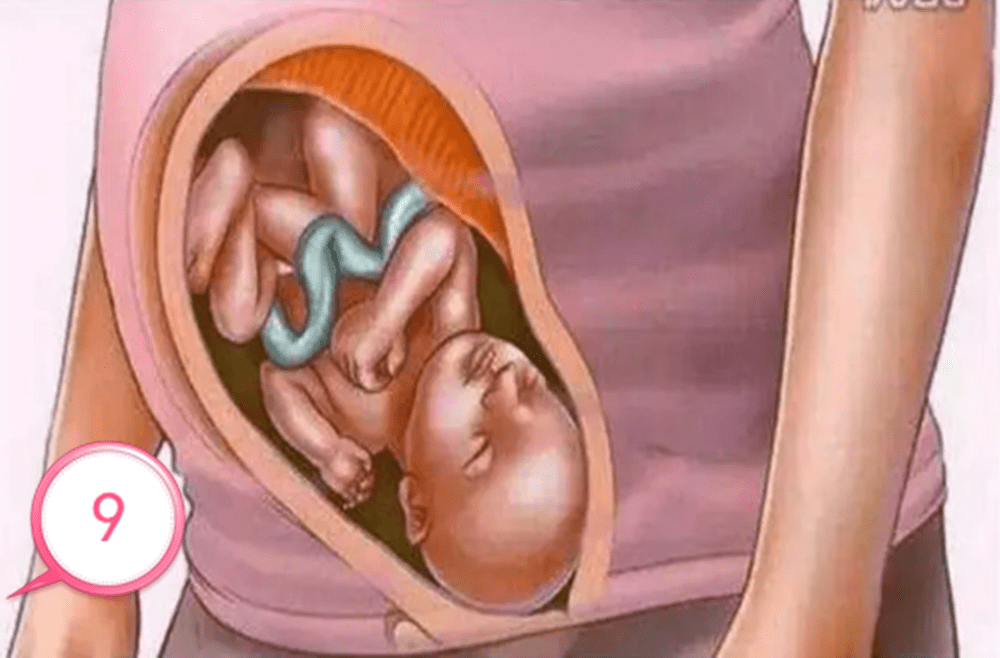 原创孕育生命究竟是怎样的？十张图见证宝宝孕育全过程，生命来之不易