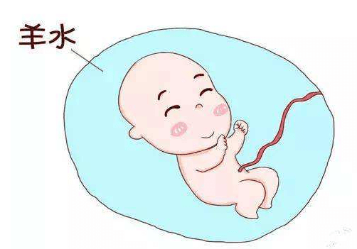 胎儿泡在羊水为什么皮肤不会烂?