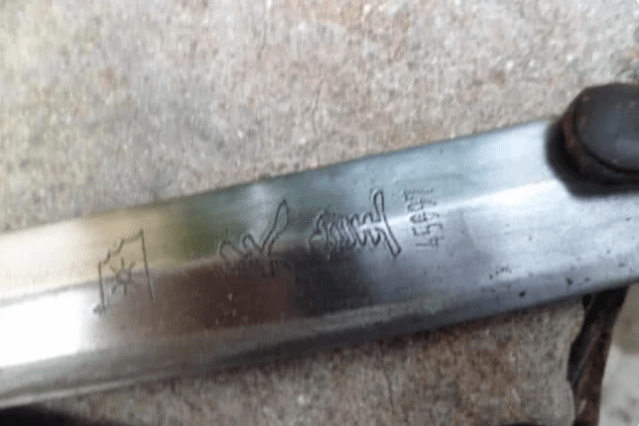 驳雪亮军刀2030年gdp超过日本_中国gdp超过日本