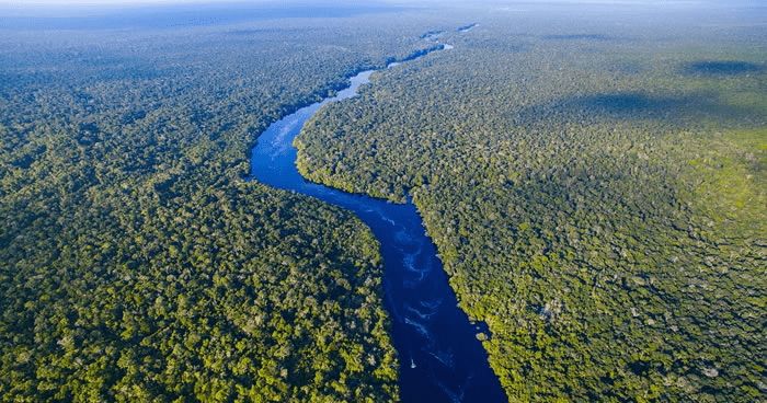 亚马逊原始森林