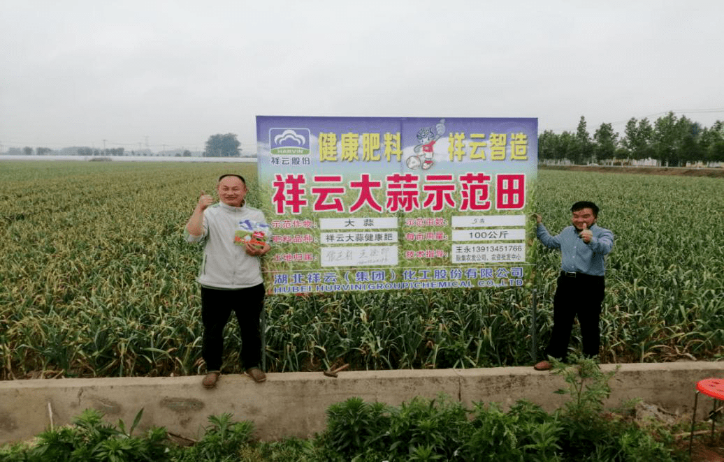 做好示范田观摩,全靠祥云肥料质量好!