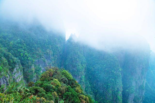原创 去广西大山深处旅行吧!实拍隐藏在大瑶山里的仙境,所见都是风景