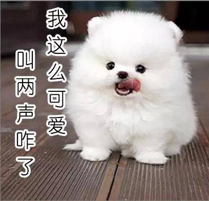 50d9fbd819924c8b8e640e86e12ba59a.jpeg
