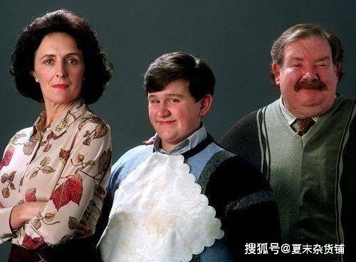 哈利波特|这么多年都误会佩妮姨妈了哈利波特：看完这些才明白