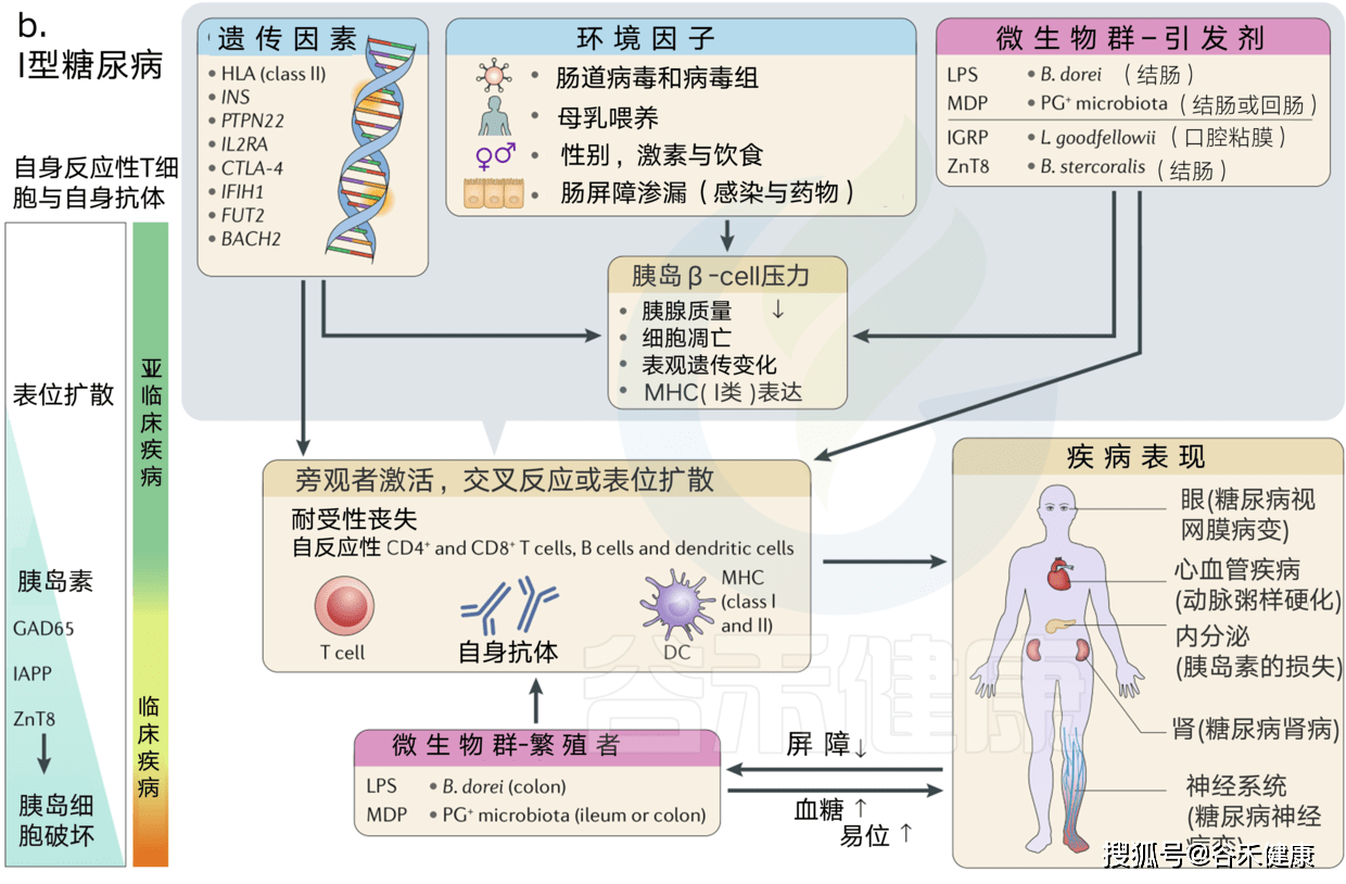 交叉反应的原理_新型冠状病毒218 假阳性反应,免疫检测原理,交叉反应,抗体血清