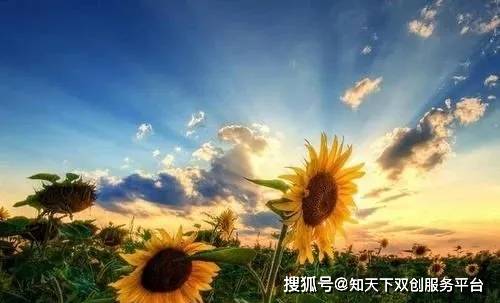 6171198973d64290b9c030c97c5db764.jpeg