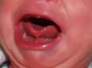 77669c11c20e43048b2bf481967af862.jpeg