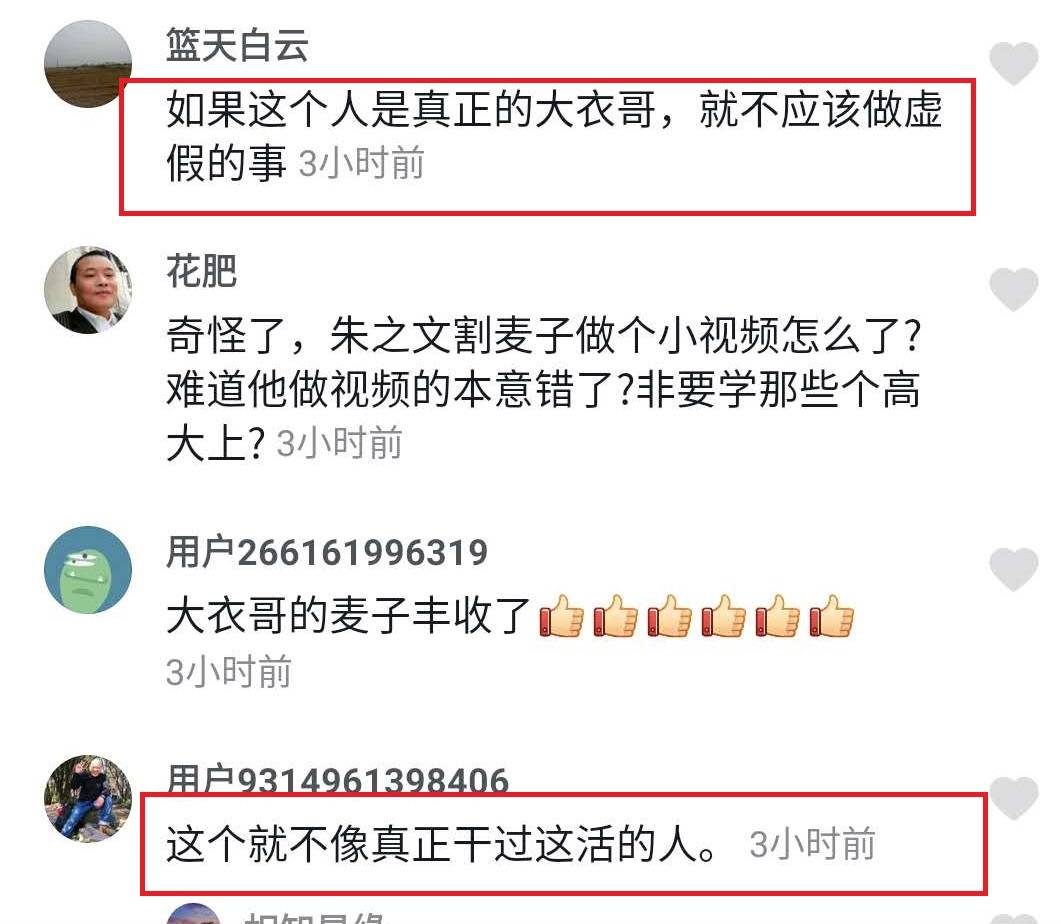 大衣哥家庄稼丰收了，亲自下地割麦子收小麦，