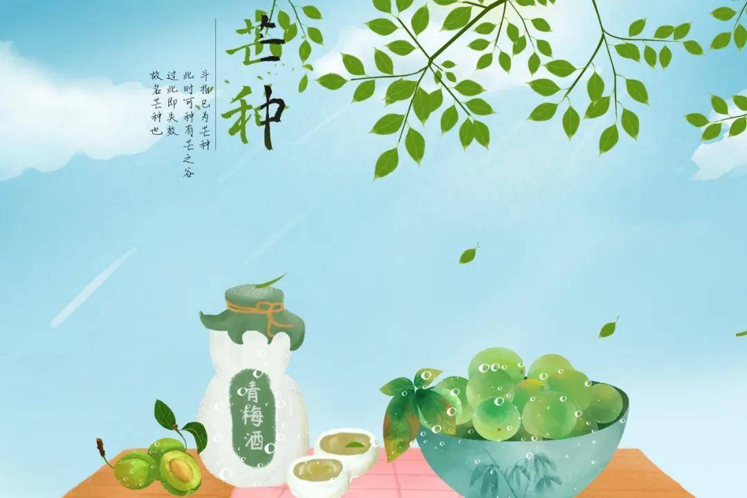 据说 夏朝时就已经有芒种煮梅的习俗了.