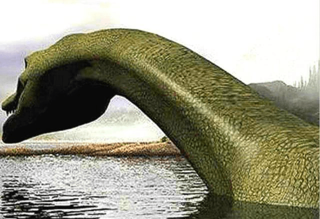 水怪 93d9eb0a565545d1b057c827a4611f9c.png