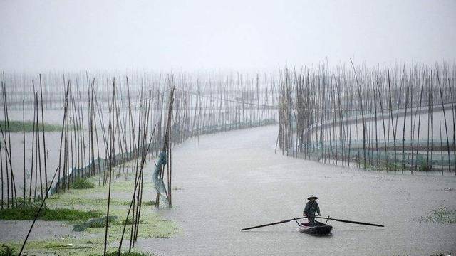 湖北最大的淡水湖泊中國第七大淡水湖,景色不輸杭州西湖,卻少有人知道(圖3)