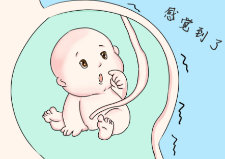 e6a1299158fe42129328858d534303c2.png