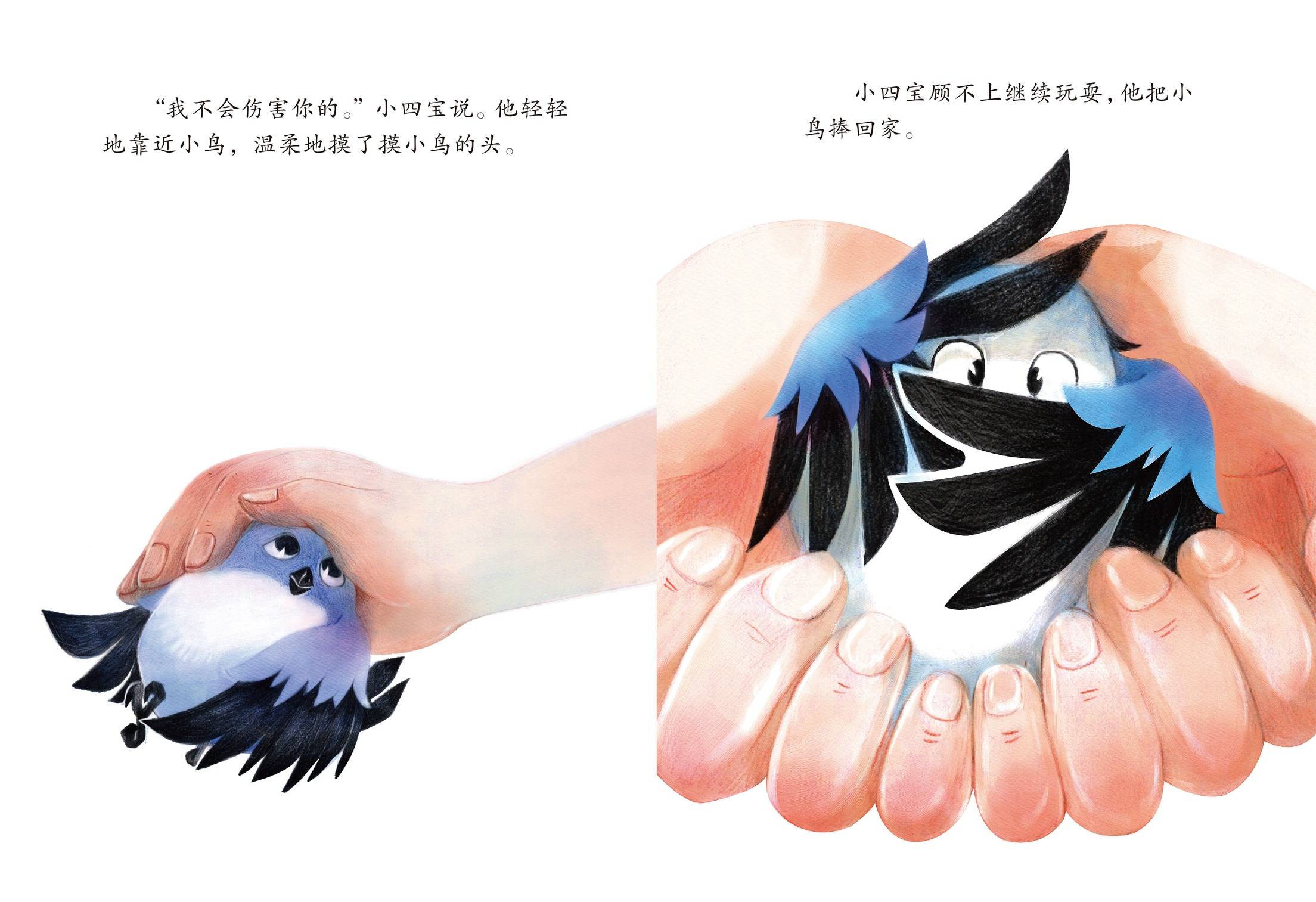 儿童绘本故事亲爱的小鸟,亲爱的小鸟 绘本故事《亲爱的小鸟》到这里就