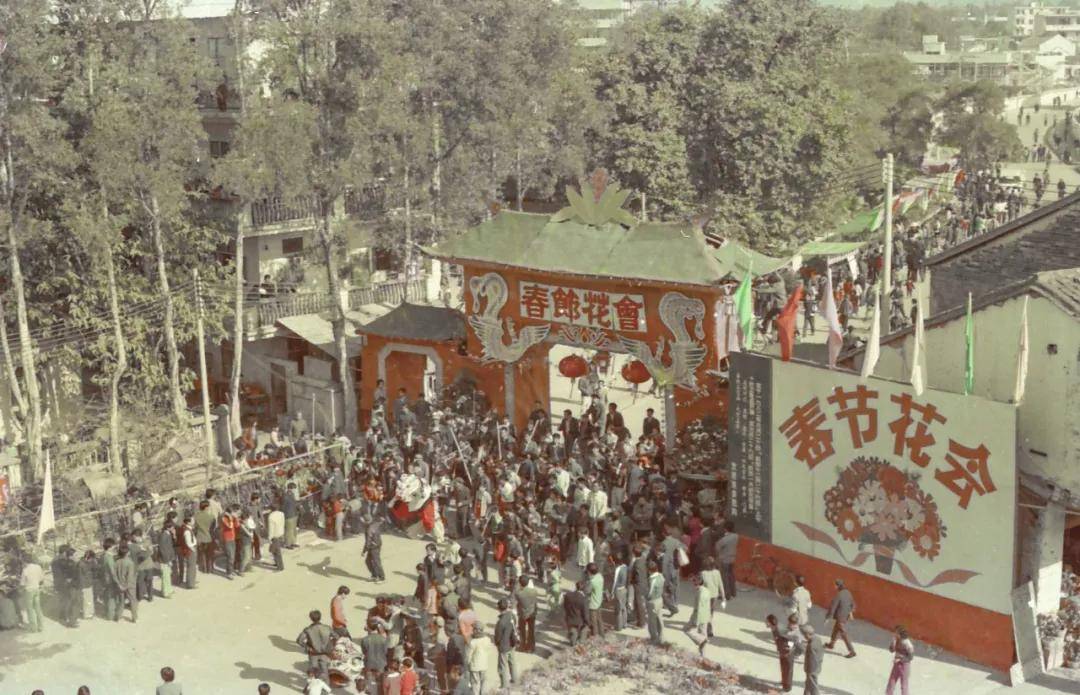 80年代初,深圳首届春节花会在和平路举行.