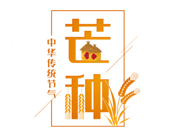 今日芒种|老年人该如何养生?