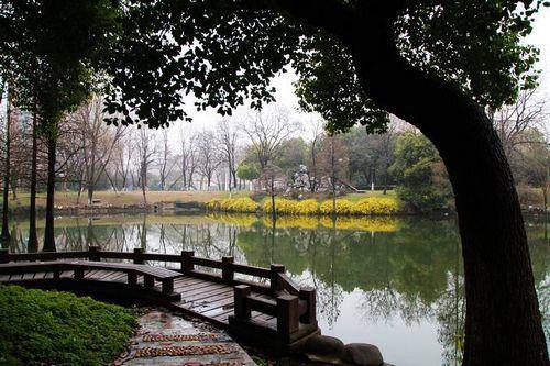 农夫山泉有点咸这所985大学，18年未扩招今年扩招61人，承诺不退档，分数要涨？