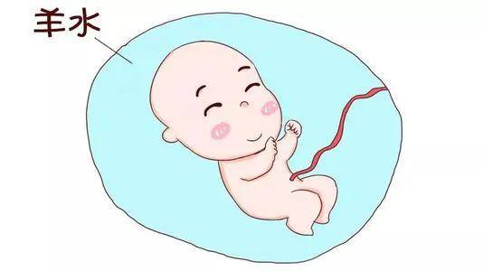 羊水是胎儿的尿吗 来自搜狐网