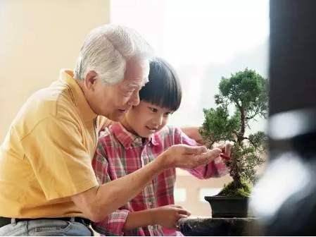 宝爸|结果悲剧了孩子越长越像爷爷？宝爸起疑心偷做亲子鉴定
