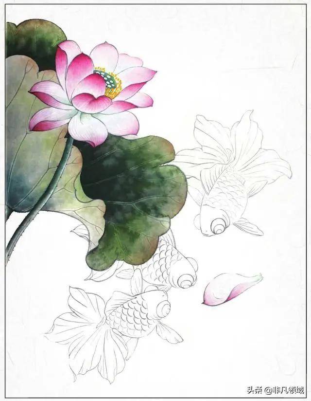 金鱼工笔画创作