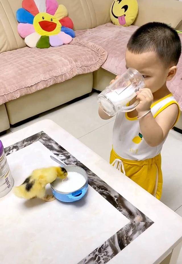 妈妈给儿子买了一只小鸭，宝宝大方分享自己的奶粉，妈妈看了不淡定