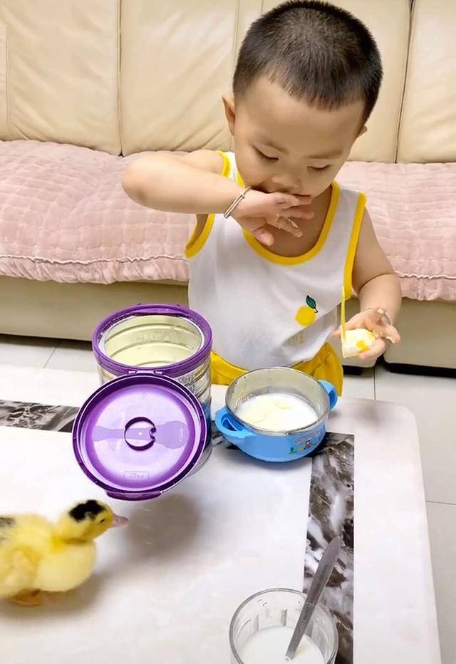 妈妈给儿子买了一只小鸭，宝宝大方分享自己的奶粉，妈妈看了不淡定