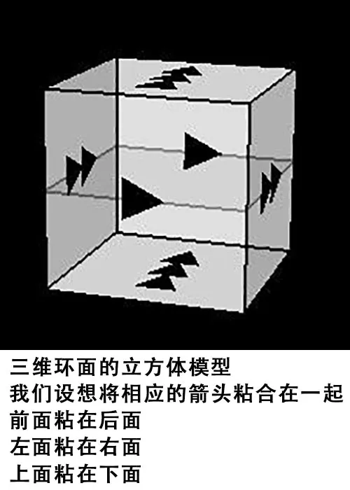 三维环面:你在逃离目标,却最终回到原点