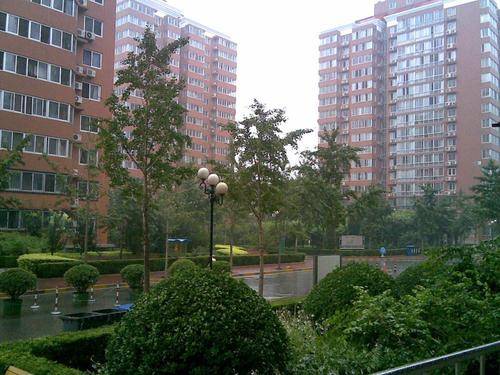 买房买一楼有什么不好的好处 67dae512d0e0490aa9a9d4c8533ca1e0.jpeg