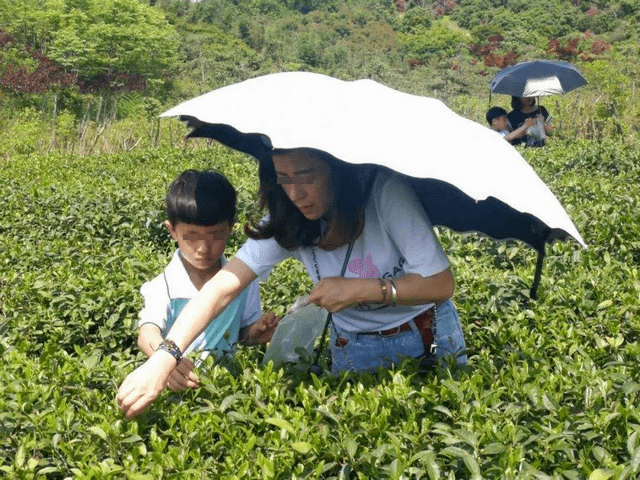 大人|孩子健康减少父母困扰夏季带孩子出游要注意什么？这五点