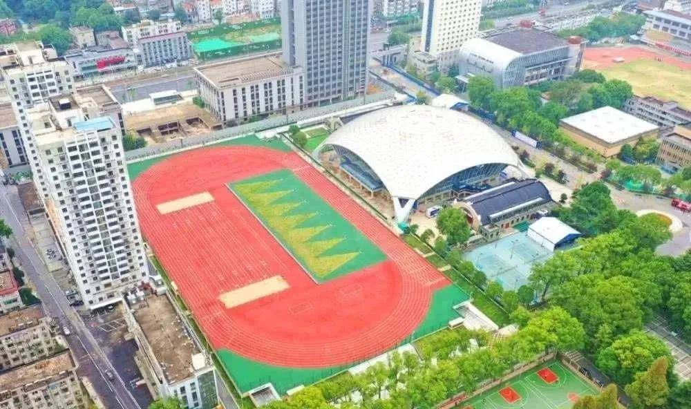 足球场 华东华南考区  郑州奥林匹克体育中心 体育馆内景——柔道