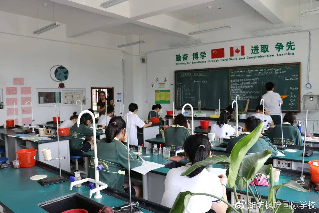 化学课,我们是主角!我把知识点讲给大家听,这样更容易牢记.