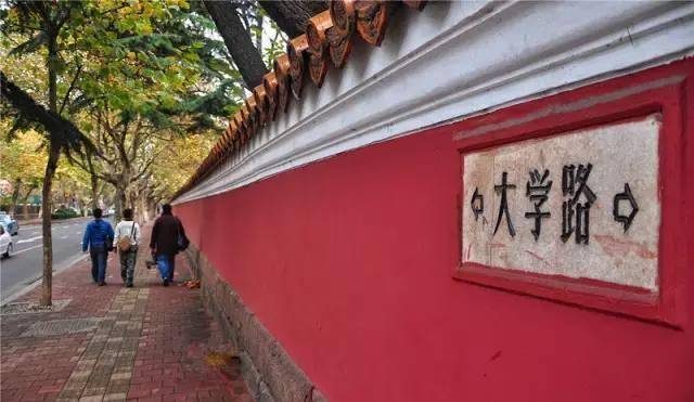 高考|你家孩子高考吗？志愿填报，我们给你免费指导今年