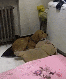 这是抖音上的一段视频