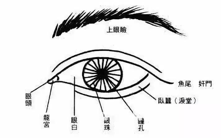 从眼睛面相看你福气大不大