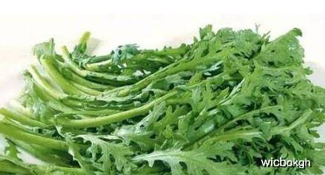 绿叶蔬菜的功效是不是都一样 b4ec7315390b4476a4d47bc5eac22a12.jpeg