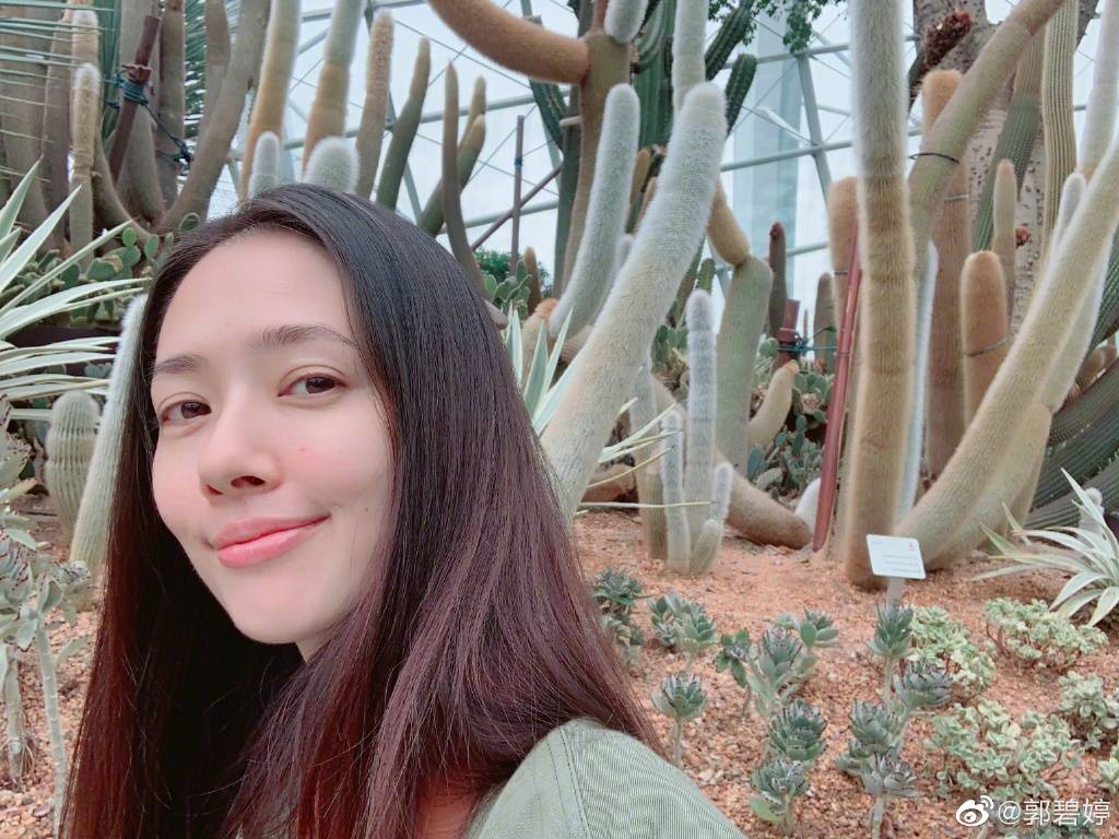 美女明星郭碧婷的图集