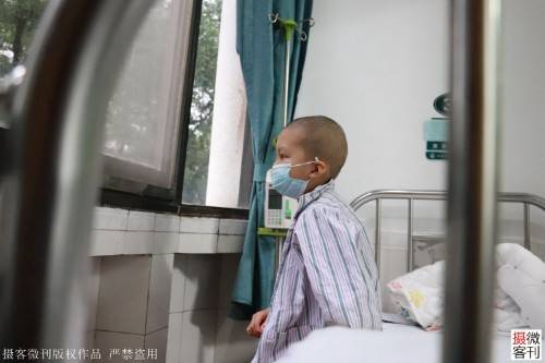 女儿|一月后大女儿患血癌恳求妈妈：别放弃我女子生下二胎全家喜悦