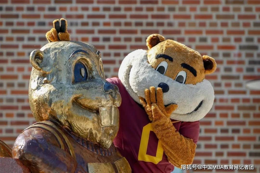 明大百科 | 走进明尼苏达大学双子城校区的吉祥物 goldy gopher