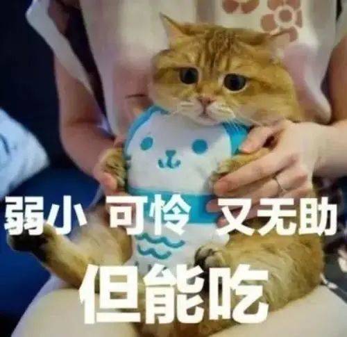 ab7c32d422c744ecb7e1b894667cc5fc.jpeg