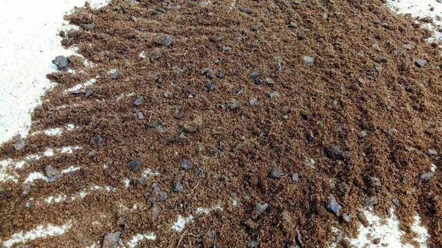 什么菜用鸡粪最好种活快 29f12ef0606442f4ae1233f2409f60b0.jpeg