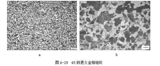 (3 45钢退火金相组织,见图4-29.