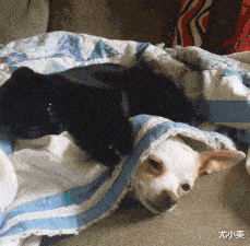 搞笑gif开心一刻:等我有钱了也这样走路_妹子